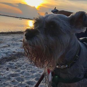 Meet your Posher, Linda